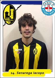 Iacopo "Iacci" Senarega